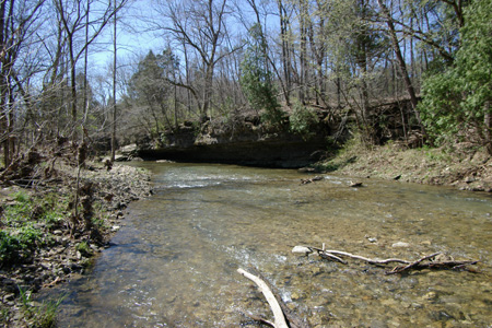 Brush Creek State Forest