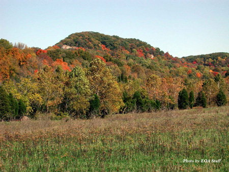 Buzzard Roost-fall